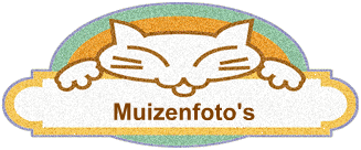 Muizenfoto's